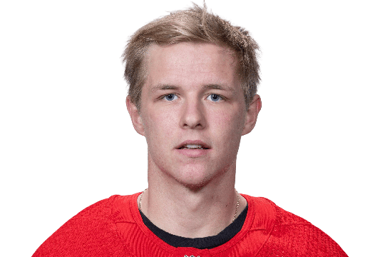 Berggren, Jonatan #48 (LW)  - Detroit Red Wings - 2024 Playoffs