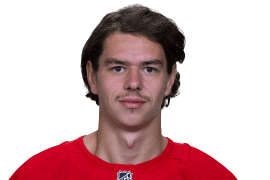 Johansson, Albert #20 (D)  - Detroit Red Wings - 2024/2025 Regular Season