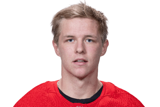 Berggren, Jonatan #48 (LW)  - Detroit Red Wings - 2024/2025 Regular Season