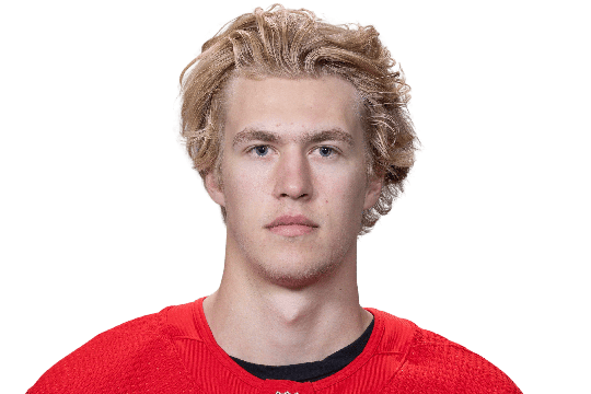 Edvinsson, Simon #77 (D)  - Detroit Red Wings - 2025/2026 Regular Season