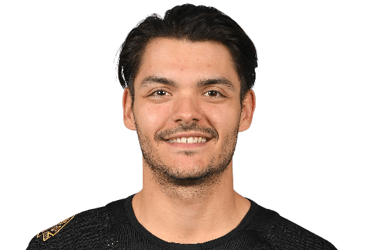 DiPietro, Michael #80 (G)  - Boston Bruins - 2025/2026 Regular Season