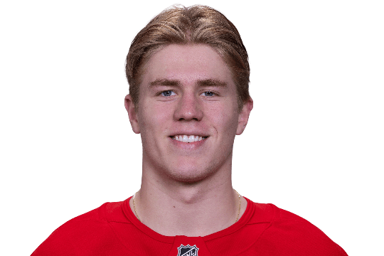 Brandsegg-Nygard, Michael #28 (RW)  - Detroit Red Wings - 2025/2026 Regular Season