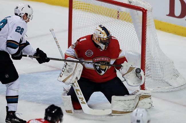 Hockey News - Here they go again: Panthers hoping for late-season surge